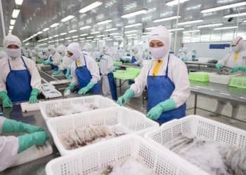 Doanh số Sao Ta đạt 95 triệu USD trong 6 tháng