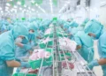 Tập đoàn Sao Mai và IDI chốt ngày tăng vốn