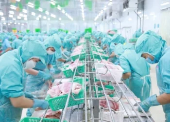 Tập đoàn Sao Mai và IDI chốt ngày tăng vốn