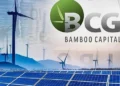 Bamboo Capital sắp phát hành 80 triệu cổ phiếu thưởng