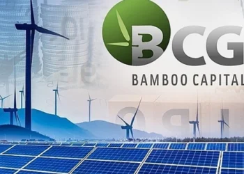Bamboo Capital sắp phát hành 80 triệu cổ phiếu thưởng