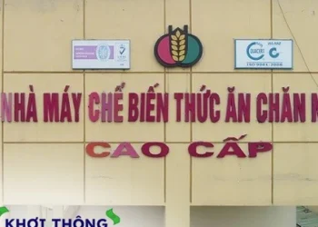 Dabaco chốt quyền chào bán 80 triệu cổ phiếu với giá phân nửa thị trường