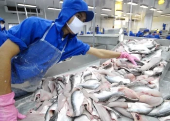 Thuỷ sản Nam Việt muốn tăng vốn gấp đôi